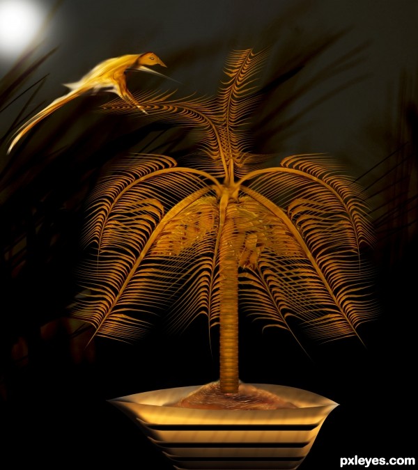 Coconut tree